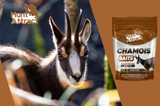 What are the advantages of a chamois attractant?