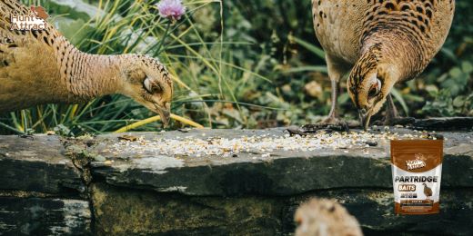 How to catch a partridge?