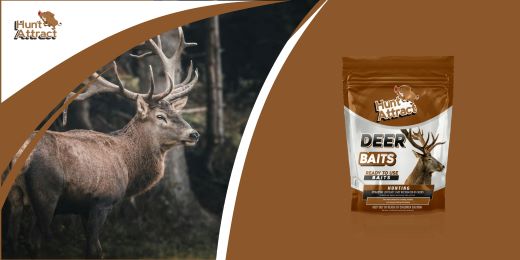 How to choose the best attractant for deer and deer?