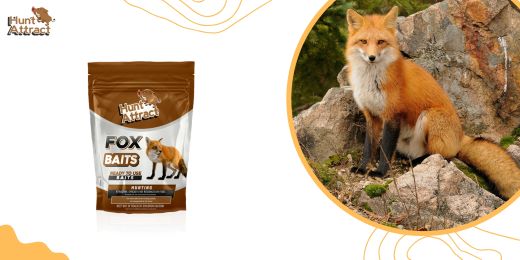 What is the best attractant to attract foxes to my garden?