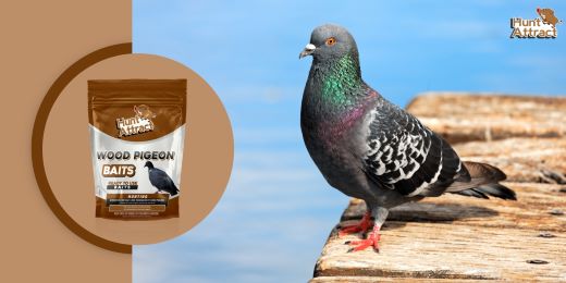 Is pigeon attractant safe for other animals?