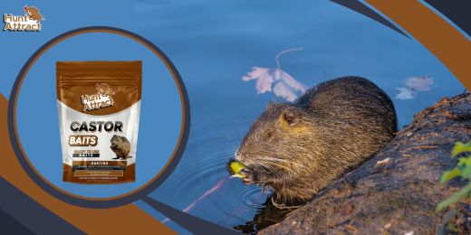 How does a coypu attractant work?