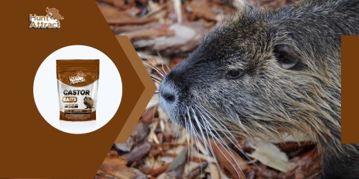 What ingredients are used in coypu attractants?