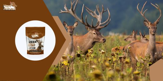 What types of attractions are most favored by deer and roe deer?