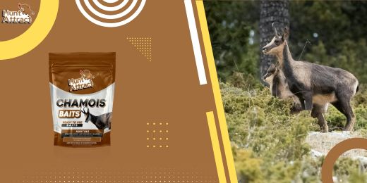 How to choose the best location to place the chamois attractant?